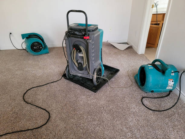 Best Local water damage restoration  in Centerville, PA