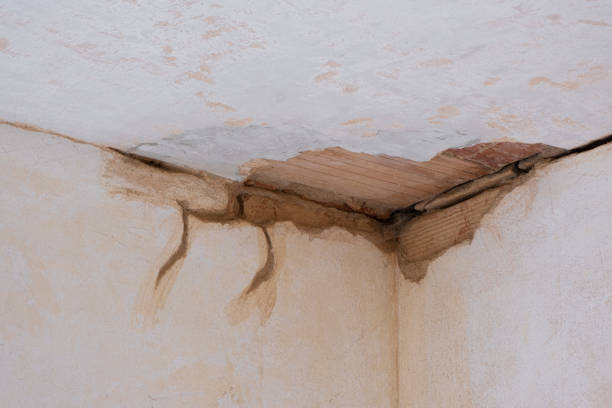 Water damage restoration mold remediation in PA